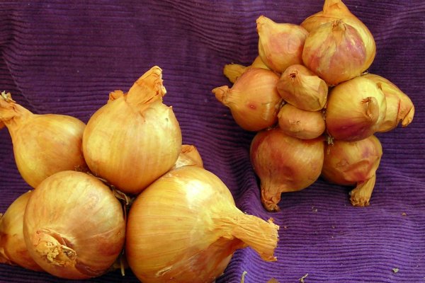 Кракен основная ссылка onion