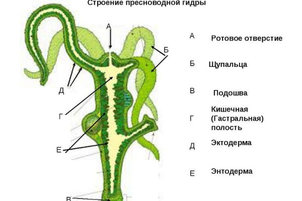 Работает ли кракен